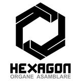 HEXAGON OA SRL