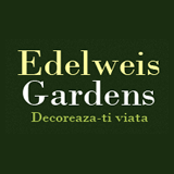 Edelweiss Gardens