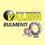 VALEM IMPORT EXPORT SRL