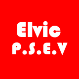 ELVIC P.S.E.V. SRL